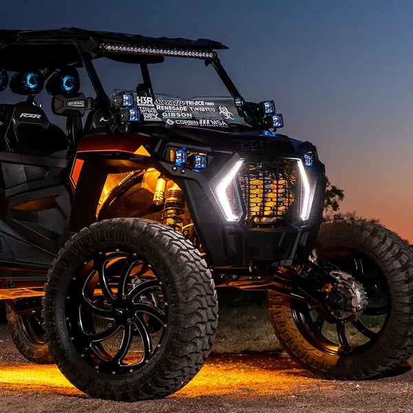 Polaris RZR 30